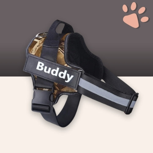 Harnais pour chien personnalisé prénom téléphone anti traction spf jujucustomharn la niche de jules camouflage