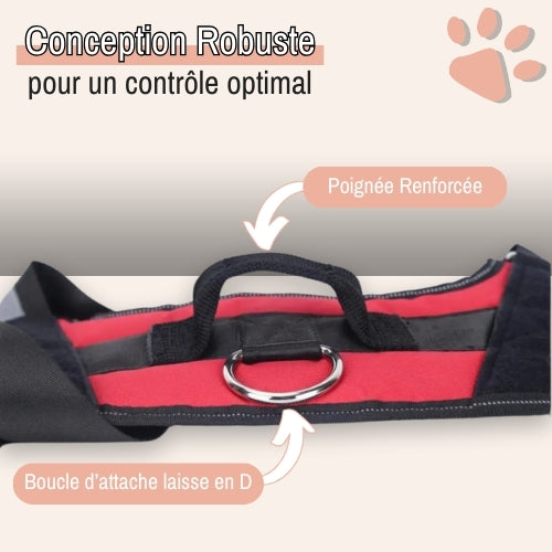 Harnais pour chien personnalisé prénom téléphone anti traction spf jujucustomharn la niche de jules conception robuste