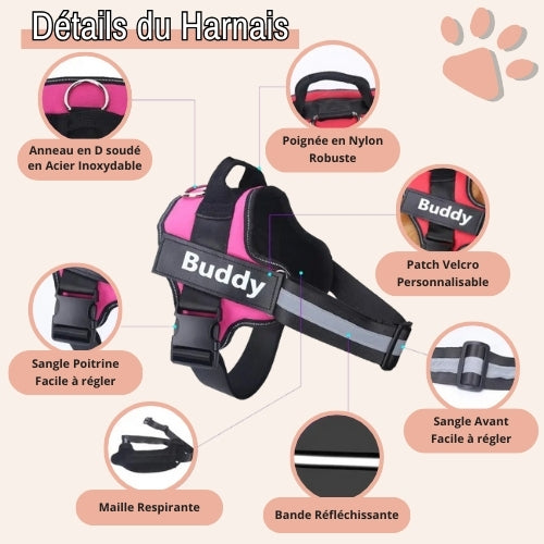 Harnais pour chien personnalisé prénom téléphone anti traction spf jujucustomharn la niche de jules détails