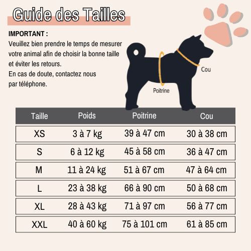 Harnais pour chien personnalisé prénom téléphone anti traction spf jujucustomharn la niche de jules guide tailles