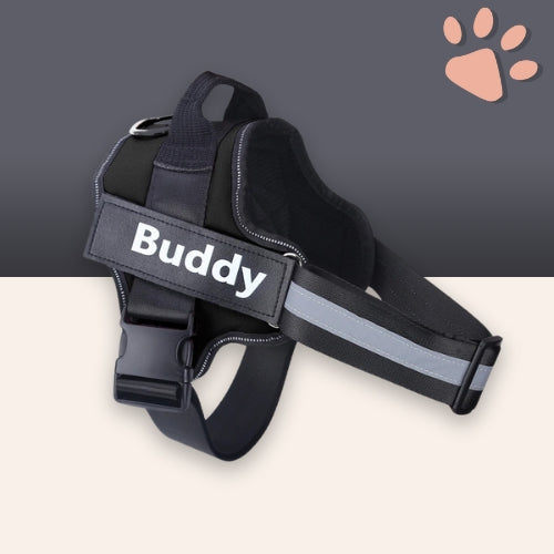 Harnais pour chien personnalisé prénom téléphone anti traction spf jujucustomharn la niche de jules noir