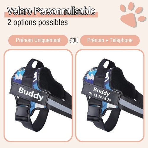 Harnais pour chien personnalisé prénom téléphone anti traction spf jujucustomharn la niche de jules personnalisable