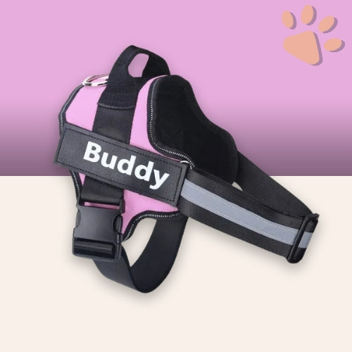 Harnais pour chien personnalisé prénom téléphone anti traction spf jujucustomharn la niche de jules rose