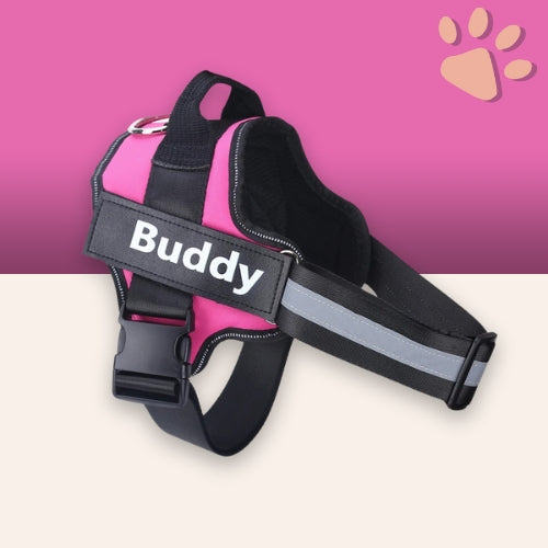 Harnais pour chien personnalisé prénom téléphone anti traction spf jujucustomharn la niche de jules rouge rosé