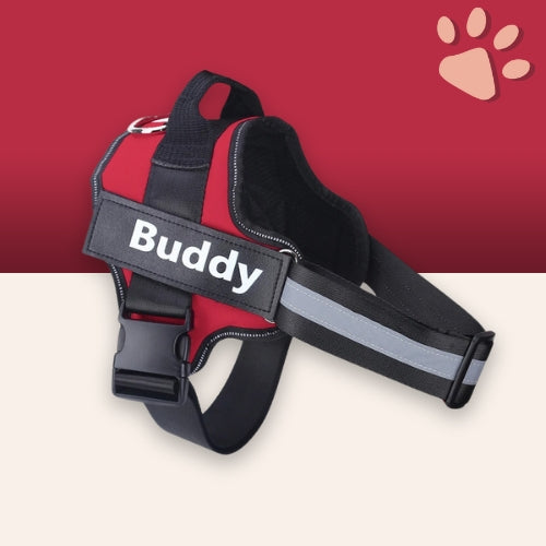 Harnais pour chien personnalisé prénom téléphone anti traction spf jujucustomharn la niche de jules rouge