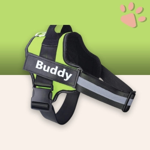 Harnais pour chien personnalisé prénom téléphone anti traction spf jujucustomharn la niche de jules vert