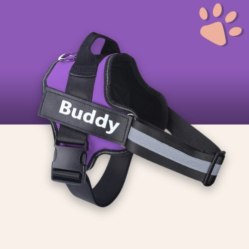 Harnais pour chien personnalisé prénom téléphone anti traction spf jujucustomharn la niche de jules violet