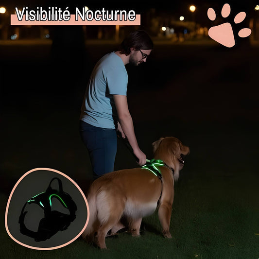 Harnais lumineux pour chien réglable la niche de jules JujuLumiHarness visibilité nocturne