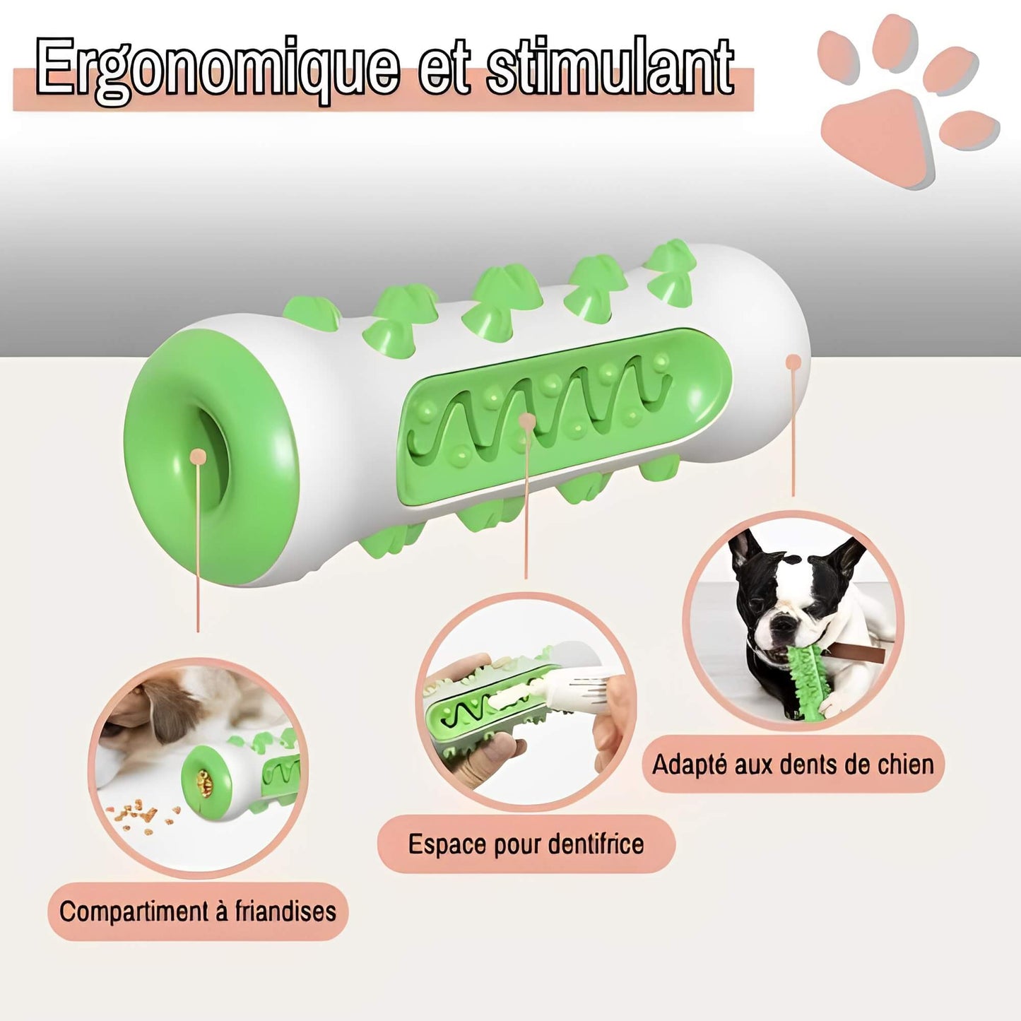Jouet Pour Chien Brosse a Macher Nettoie Les Dents la niche de jules JuJuChewBrush ergonomique et stimulant