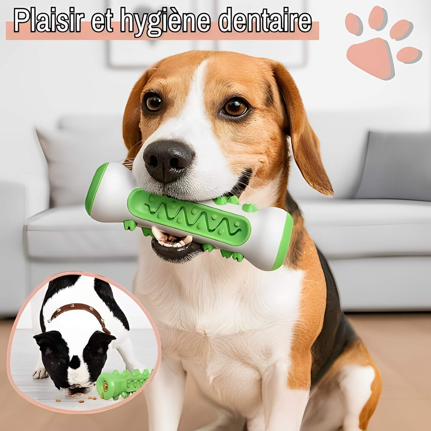 Jouet Pour Chien Brosse a Macher Nettoie Les Dents la niche de jules JuJuChewBrush jouet qui combine plaisir et hygiene dentaire