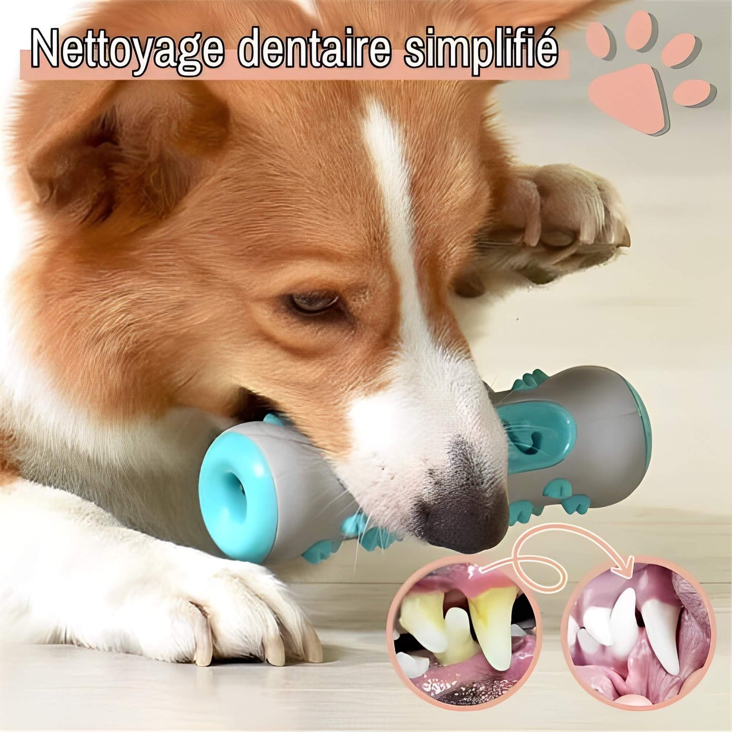 Jouet Pour Chien Brosse a Macher Nettoie Les Dents la niche de jules JuJuChewBrush nettoyage dentaire simplifié