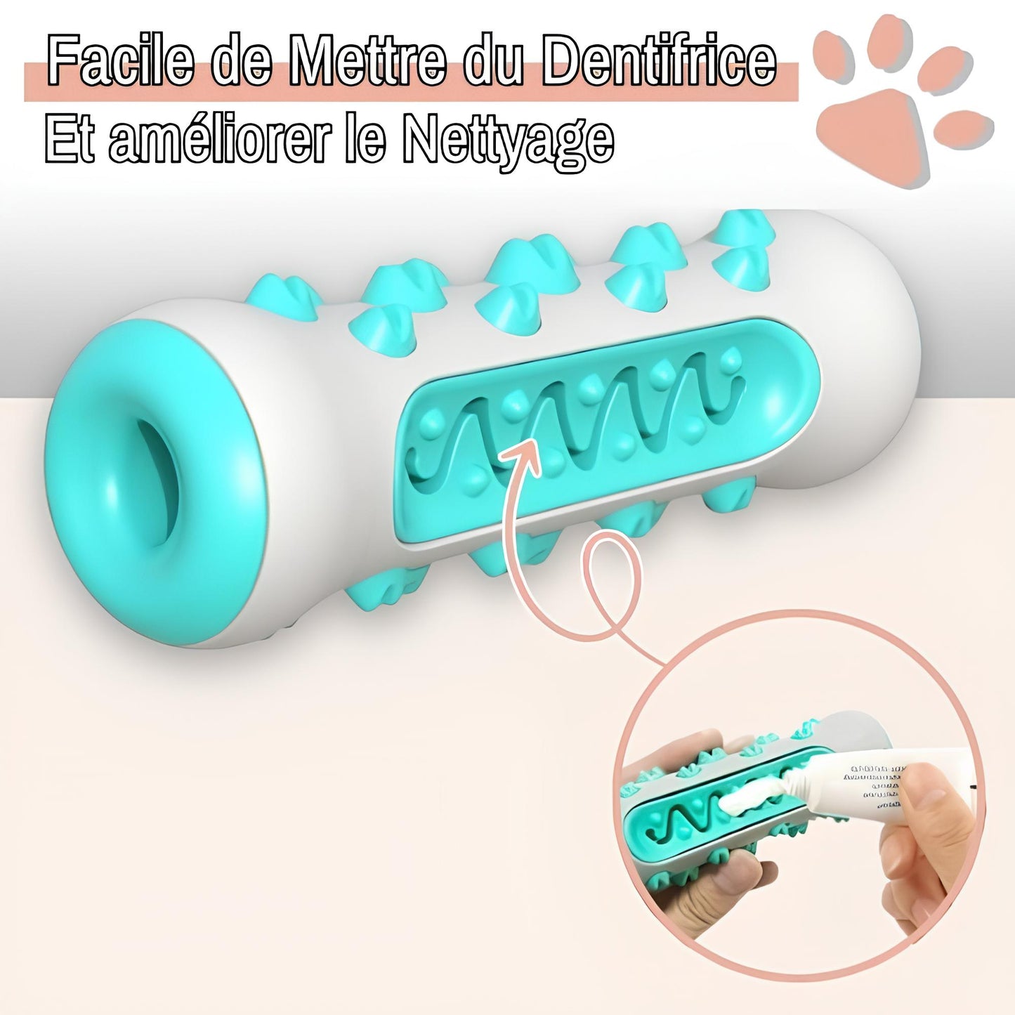 Jouet Pour Chien Brosse a Macher Nettoie Les Dents la niche de jules JuJuChewBrush dentifrice facile à mettre