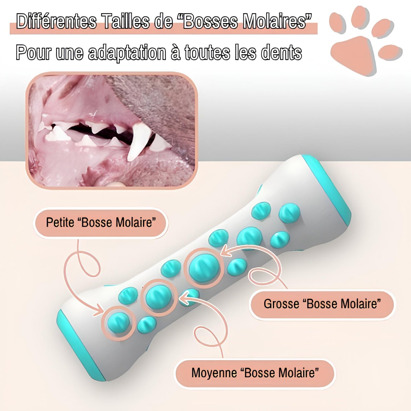 Jouet Pour Chien Brosse a Macher Nettoie Les Dents la niche de jules JuJuChewBrush pour toutes les dents