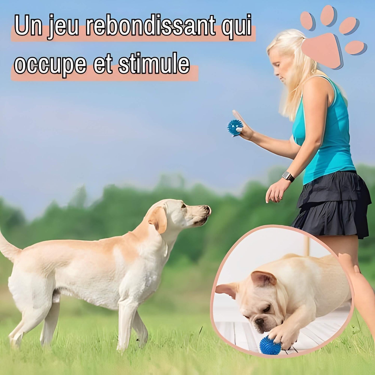 Jouet Pour Chien a Mordre Balle pour Chien la niche de jules JuJuPowerChew jeu rebondissant qui occupe et stimule