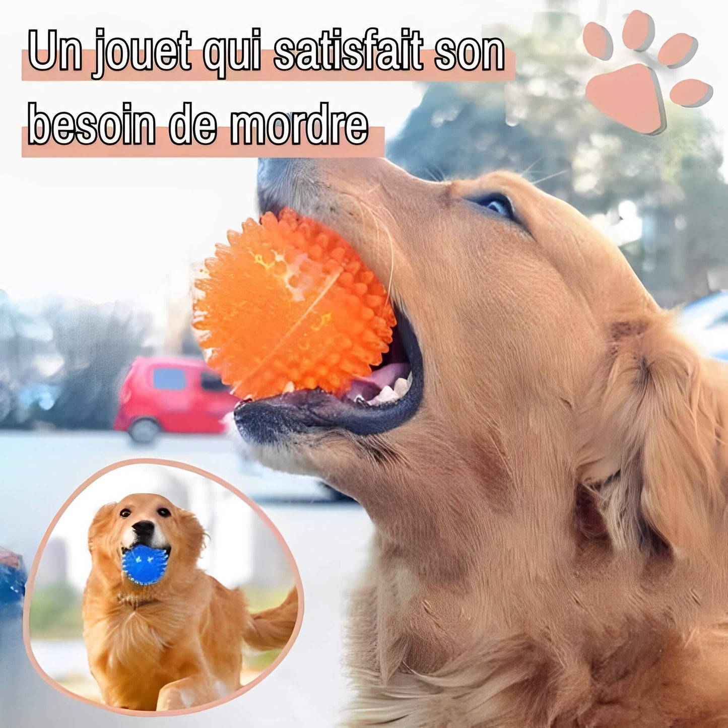 Jouet Pour Chien a Mordre Balle pour Chien la niche de jules JuJuPowerChew jouet qui satisfait son besoin de mordre