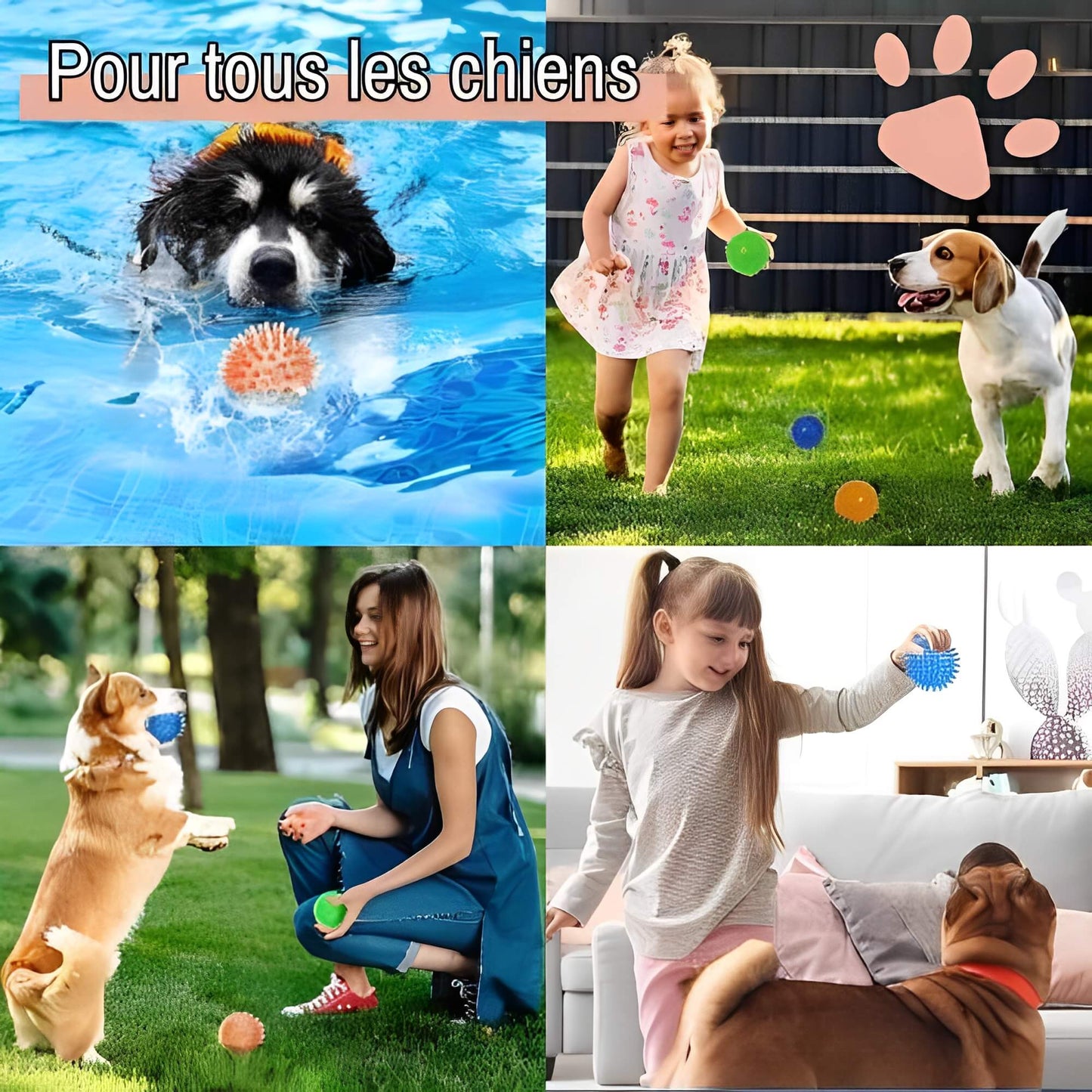 Jouet Pour Chien a Mordre Balle pour Chien la niche de jules JuJuPowerChew pour tous les chiens