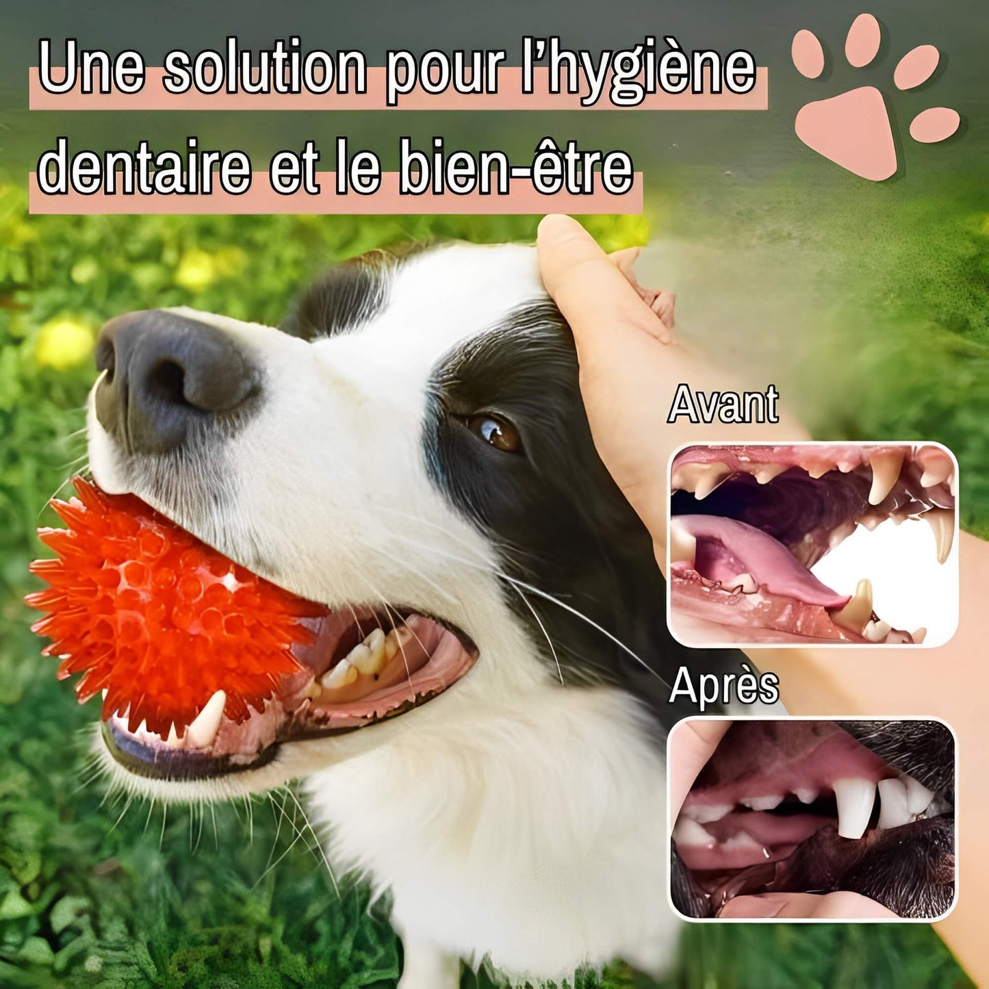 Jouet Pour Chien a Mordre Balle pour Chien la niche de jules JuJuPowerChew solution pour l'hygiène dentaire et le bien être