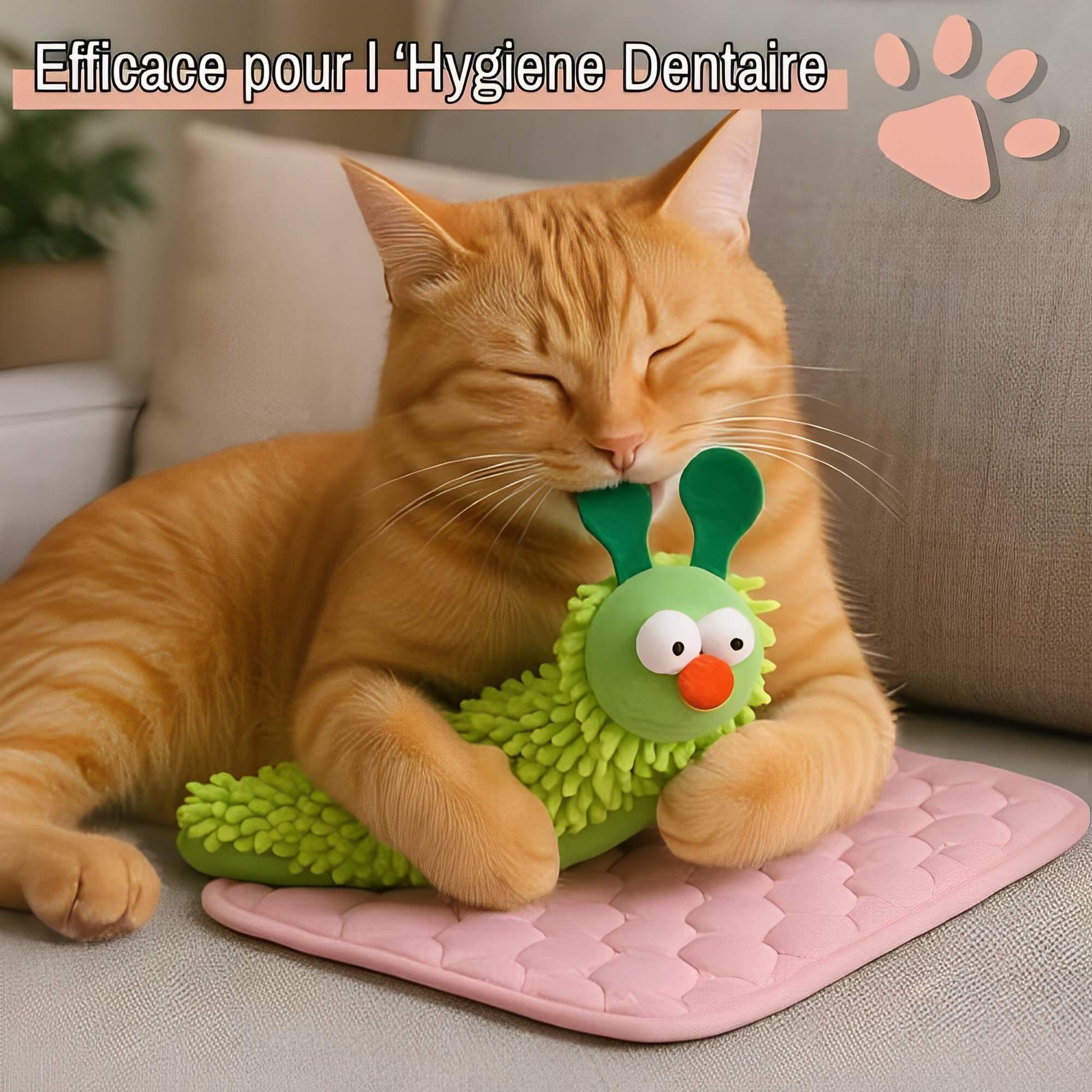 Jouet-a-macher-pour-chat-Herbe-a-chat-JuJuChewFun efficace pour hygiene dentaire