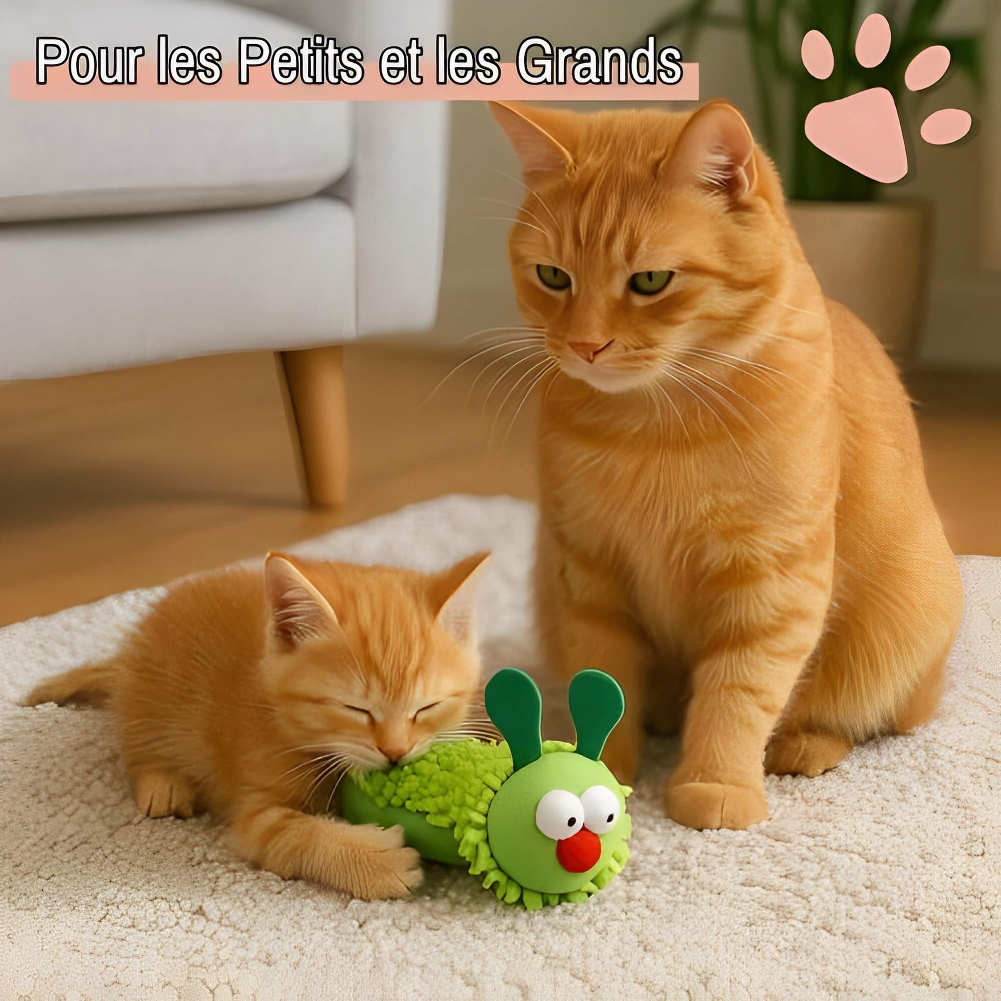 Jouet-a-macher-pour-chat-Herbe-a-chat-JuJuChewFun pour les petits et les grands