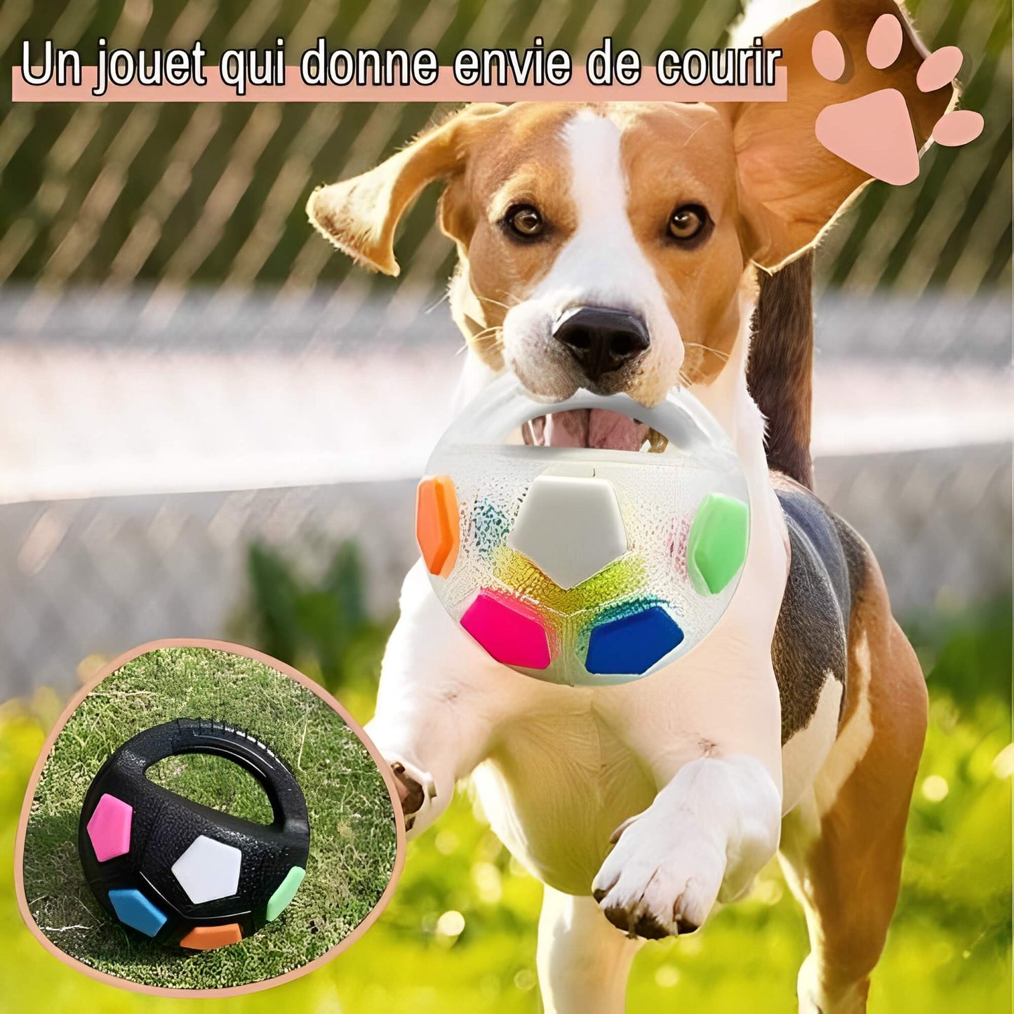 Jouet pour chien Ballon de Foot la niche de Jules JujuFootPlay un jouet qui donne envie de courir