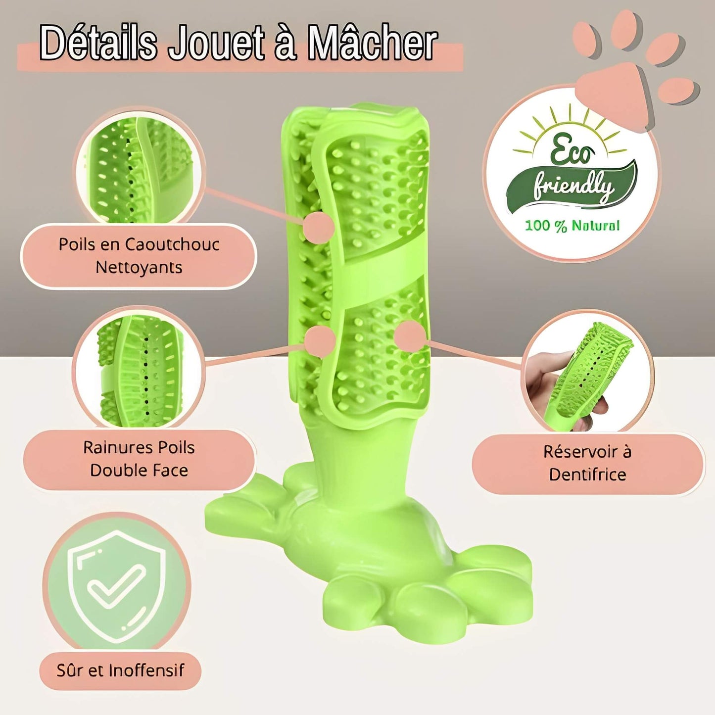 Jouet pour chien a macher jujudentguard la niche de jules details