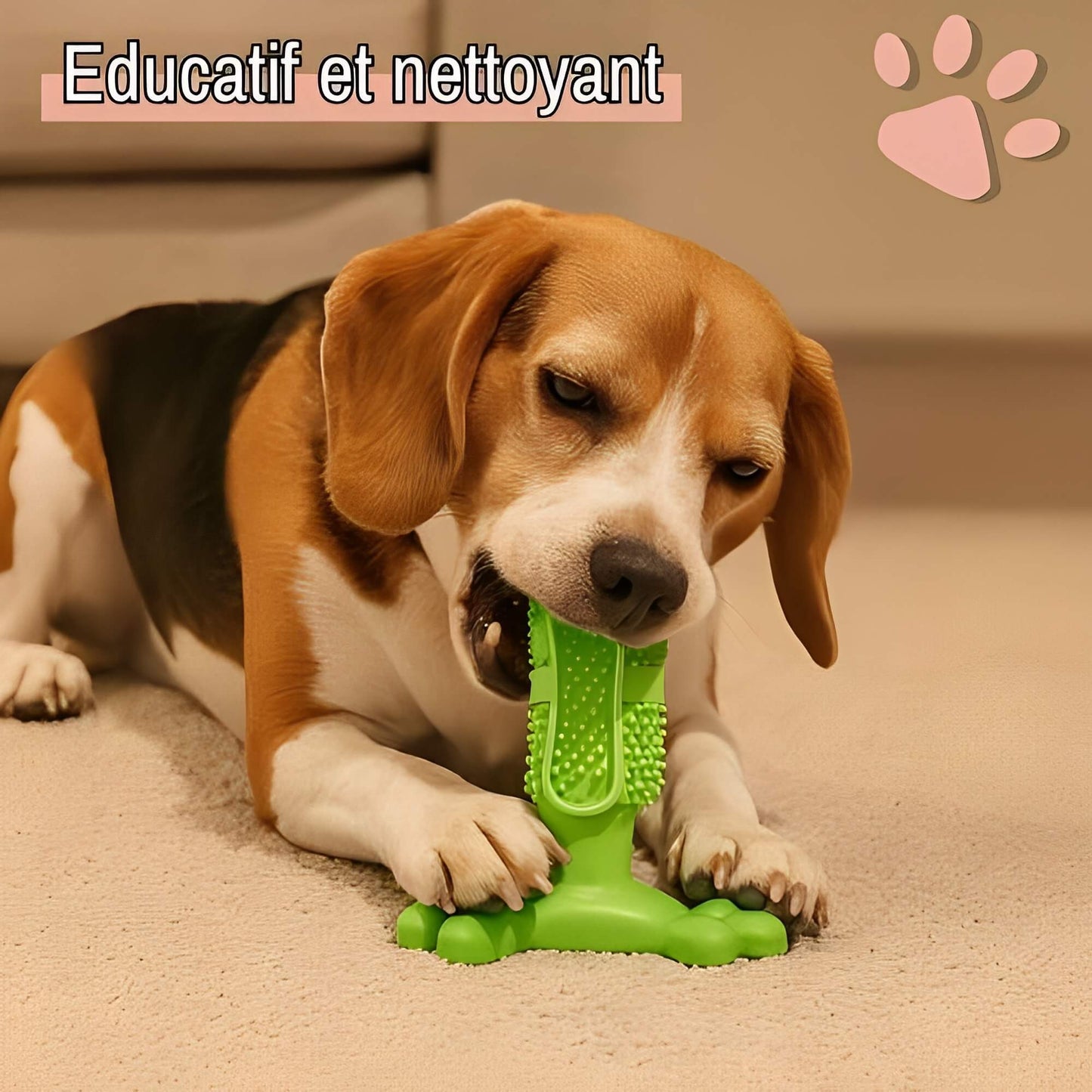 Jouet pour chien a macher jujudentguard la niche de jules educatif et nettoyant