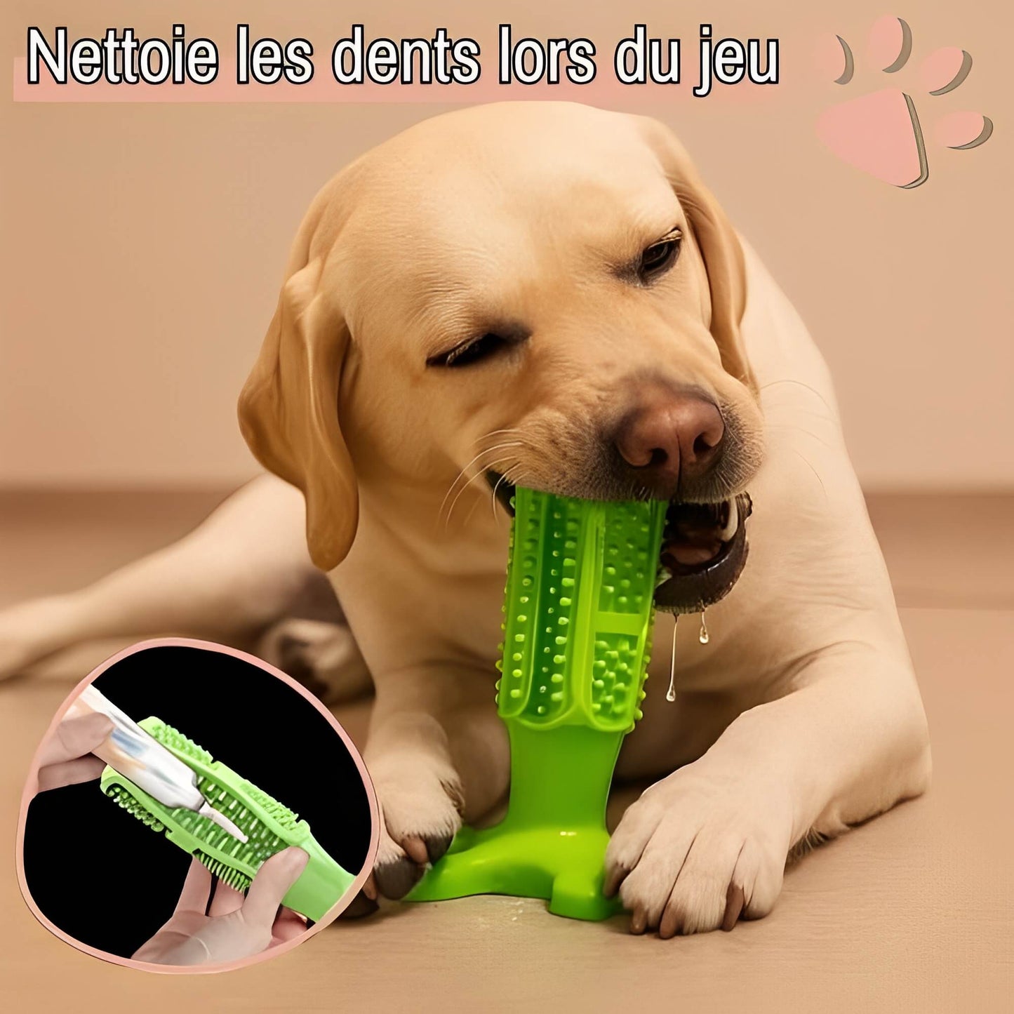Jouet pour chien a macher jujudentguard la niche de jules nettoie les dents lors du jeu