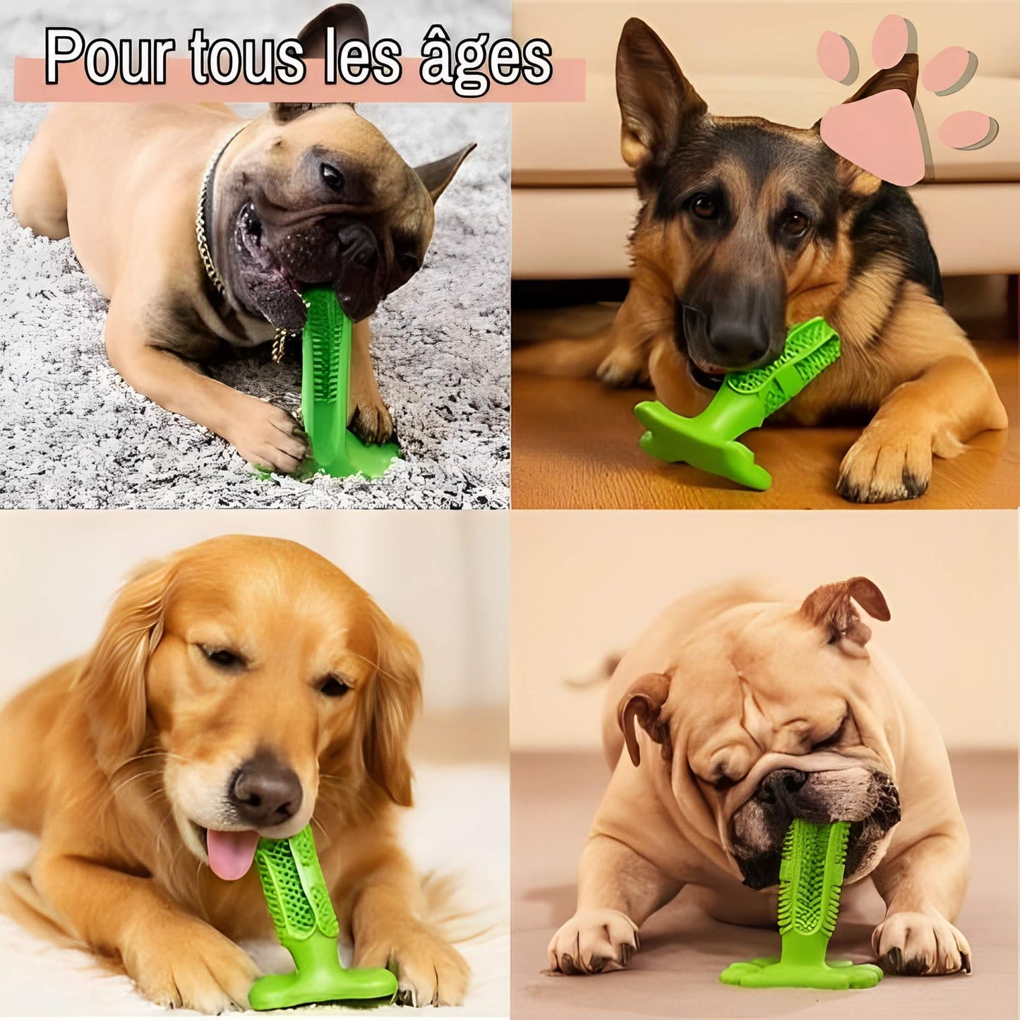 Jouet pour chien a macher jujudentguard la niche de jules pour tous les âges