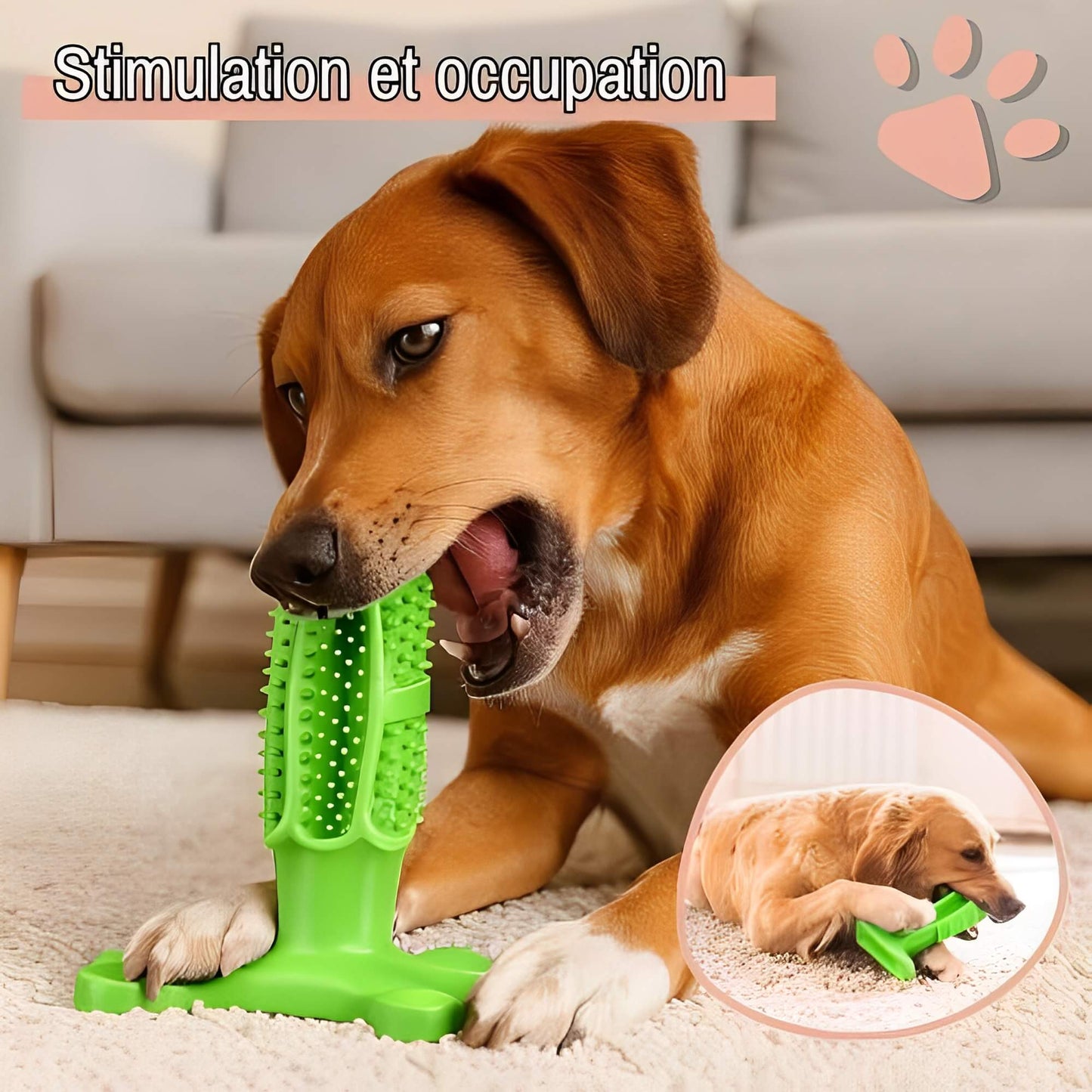 Jouet pour chien a macher jujudentguard la niche de jules stimulation et occupation