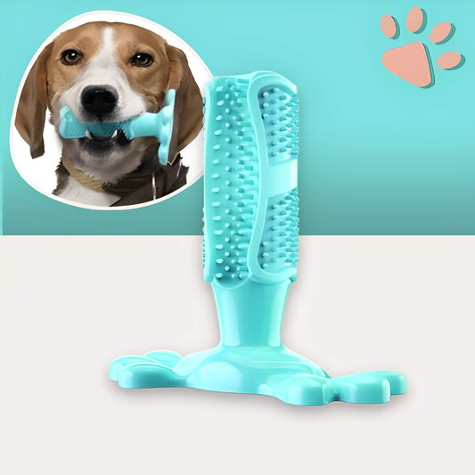 Jouet pour chien a macher jujudentguard la niche de jules variante turquoise