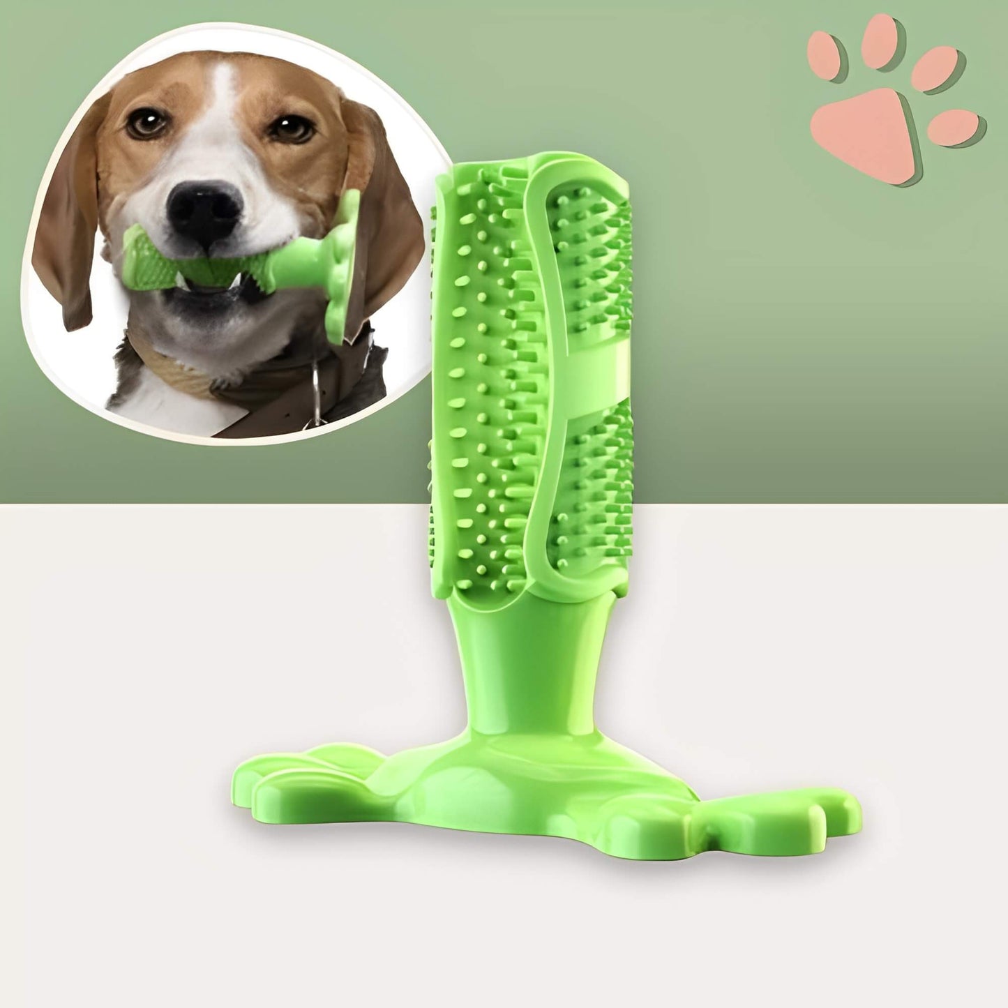 Jouet pour chien a macher jujudentguard la niche de jules variante verte