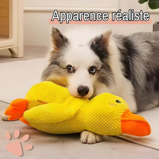 Jouet pour chien Peluche canard jujuduck la niche de jules apprence réaliste