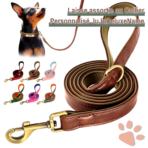 Laisse pour chien en Cuir PU avec doublure | JuJuDeluxeLeash™