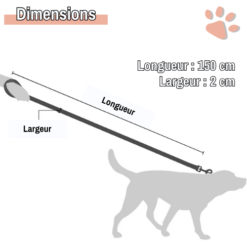 Laisse pour chien en Cuir PU avec doublure | JuJuDeluxeLeash™