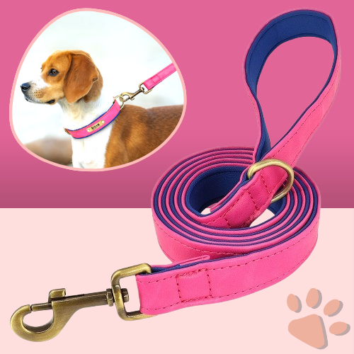 Laisse pour chien en Cuir PU avec doublure | JuJuDeluxeLeash™