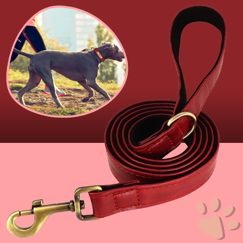 Laisse pour chien en Cuir PU avec doublure | JuJuDeluxeLeash™