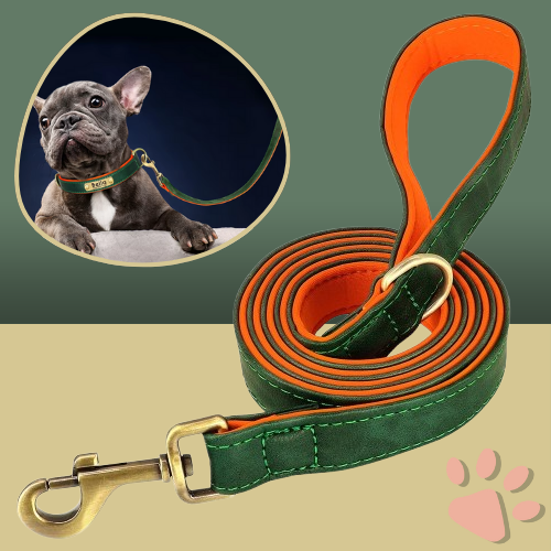 Laisse pour chien en Cuir PU avec doublure | JuJuDeluxeLeash™