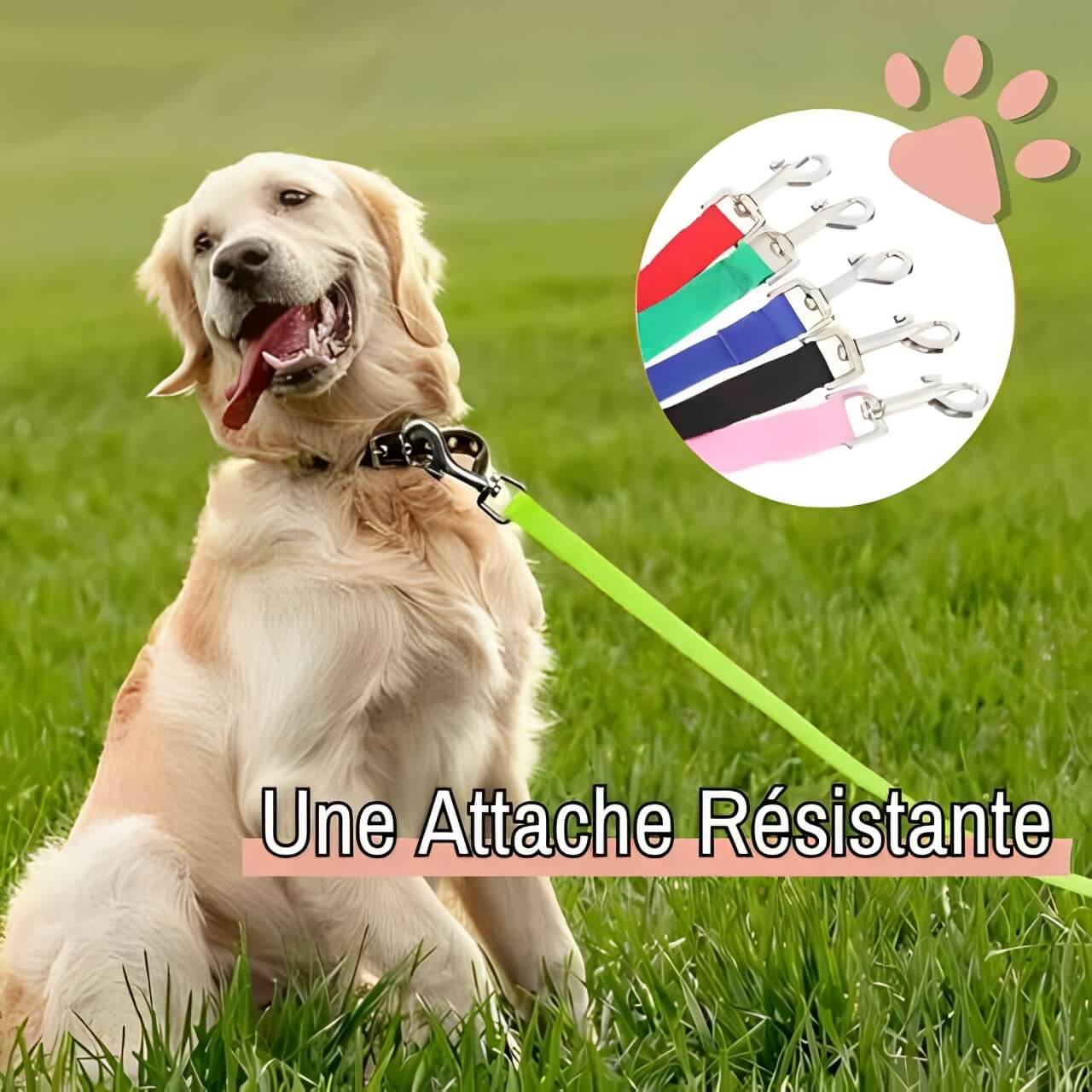Laisse pour chien longue laisse jujulonge la niche de jules attache resistante