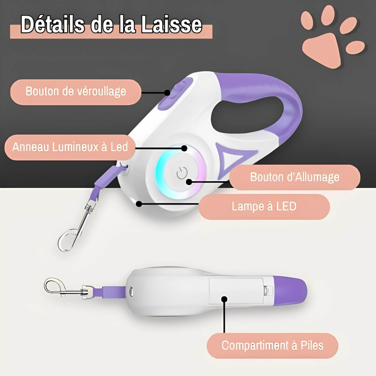 Laisse pour chien Enrouleur Lumiere jujuleashled la niche de jules détails