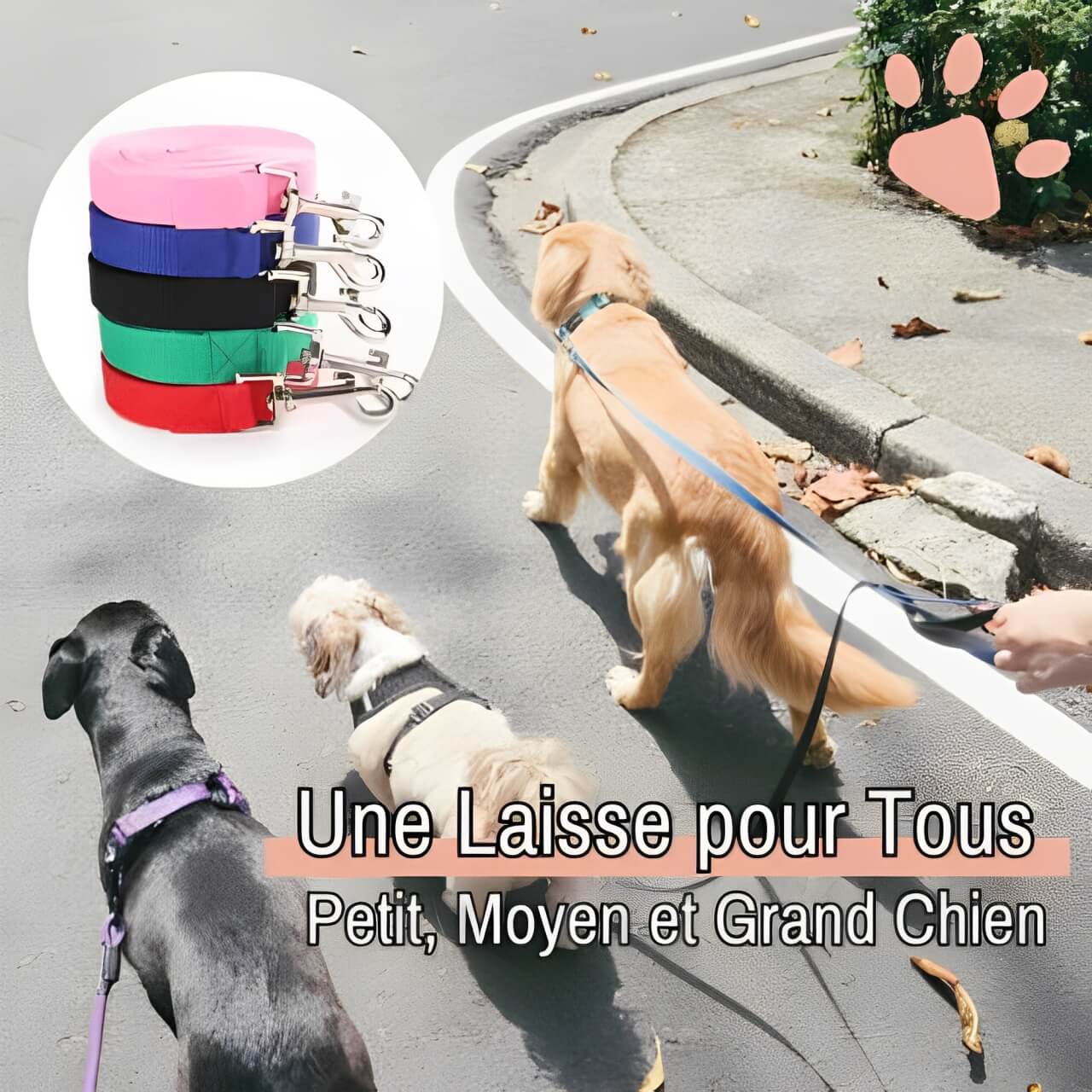 Laisse pour chien longue laisse jujulonge la niche de jules petit moyen grand chien