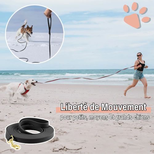 Laisse longe pour chien PVC jujulongepvc la niche de jules liberté