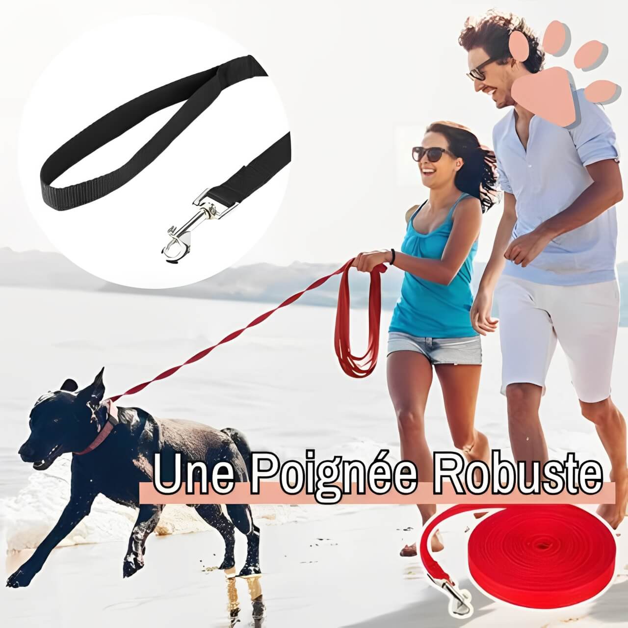 Laisse pour chien longue laisse jujulonge la niche de jules poignée robuste