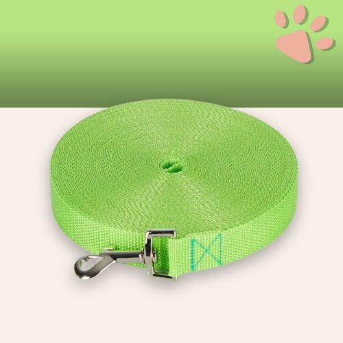 Laisse pour chien longue laisse jujulonge la niche de jules vert clair