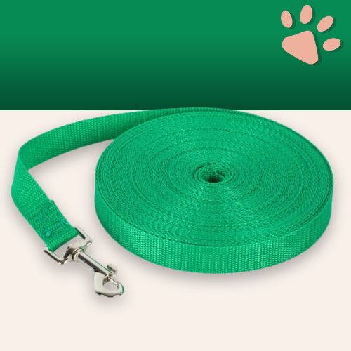 Laisse pour chien longue laisse jujulonge la niche de jules vert