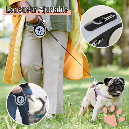 Laisse retractable pour chien jujuretractleash la niche de jules longueur ajustable