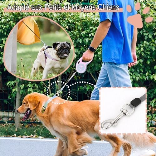 Laisse retractable pour chien jujuretractleash la niche de jules petit moyen chien