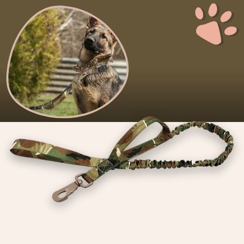 Laisse Pour Chien Robuste En Nylon Militaire - 150 Cm - Poignée Confort Néoprène - Mousqueton Sécurisé - Pour Grandes Races