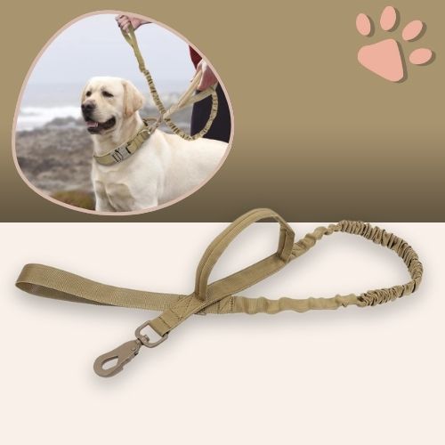 Laisse tactique pour chien style militaire la niche de jules jujutactikLeash kaki