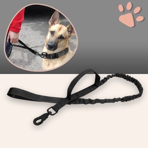 Laisse tactique pour chien style militaire la niche de jules jujutactikLeash noir