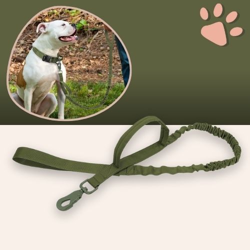 Laisse tactique pour chien style militaire la niche de jules jujutactikLeash vert militaire